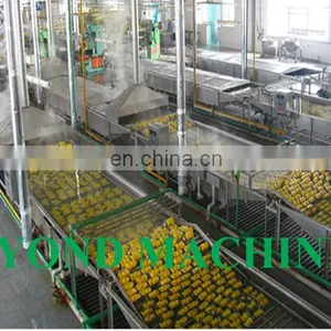 Canned Fruit Cocktail Processing Production Line thumbnail-2