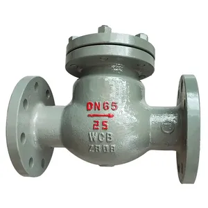 Manufacturer Direct Sales Cast Steel Check Valve Flange Check Valve thumbnail-1