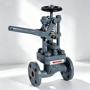 CBM1104-82 Schnellschließventil für Schiffsfeuerschutzsysteme thumbnail-3