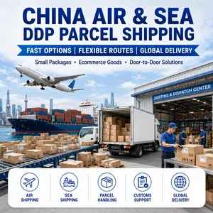 China DDP Shipping for E-commerce Parcels and Small Packages thumbnail-4