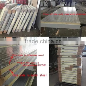 PU Insulation Panel/Sandwitch Panel/cold Store Panel thumbnail-1