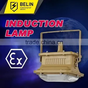 Maintence Free Energy Saving Explosion Proof Light thumbnail-1