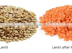 China Red Lentil Peeling Machine thumbnail-2
