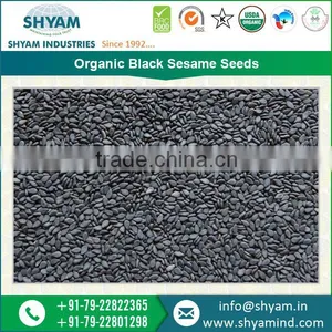 Highly Nutritious Top Rated Sesame Seeds Dealers thumbnail-5