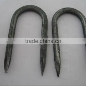Hot-dipped Galvanized Fence Staples / U-Nails/ U Type Nails thumbnail-4