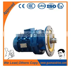 Cycloidal Speed Reducers for Electric Motors thumbnail-3
