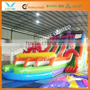 Gaint Commercial Inflatable Slide for Water Park thumbnail-1