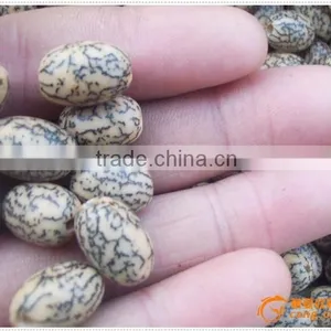 Buddha Beads Making Machine thumbnail-2