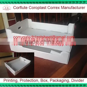 pp Correx Stackable Plastic Box thumbnail-2