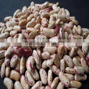 Long Shape Yian Light Speckled Kidney Beans 2010 Crop thumbnail-1