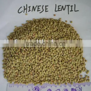 Lentil/green Lentil 2010crop thumbnail-1