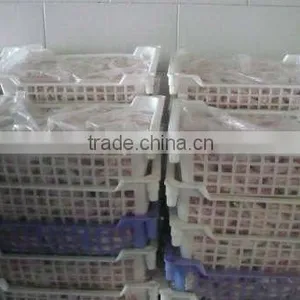 CHICKEN FEET thumbnail-1