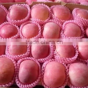 Sell Fresh Apple Fruit of High Quality and Good Price thumbnail-2