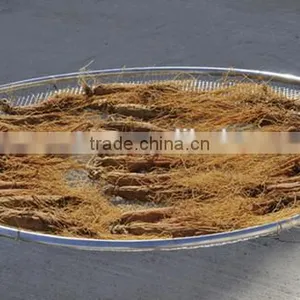 Panax Ginseng Powder thumbnail-5