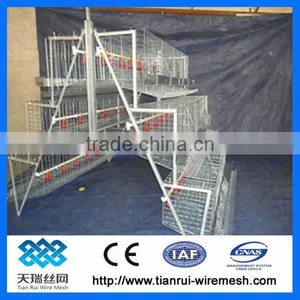 A Type 3 Layer Poultry Chicken Cages thumbnail-1
