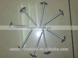 Umbrella Roofing Nails/Corrugated Roofing Nails/ Square Roofing Nails thumbnail-1