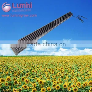 Factory Direct Sale 1500 Watt Led Grow Light thumbnail-1