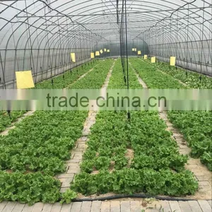 PE Pipe Drip Arrow Use for Agriculture Greenhouse Irrigation thumbnail-1
