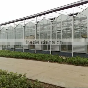Glass Greenhosue With Shading Net Hydroponic Systems Greenhouse thumbnail-1