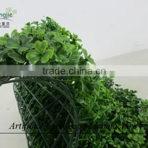 Artificial Boxwood Carpet ,green Wall Hedge Decoration thumbnail-2