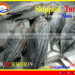 FROZEN W/R SKIPJACK TUNA thumbnail-1