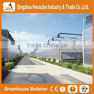 Factory Price Trade Assurance Greenhouse Accessories- Low Cost Agricultural PC Greenhouse for Tomato thumbnail-3