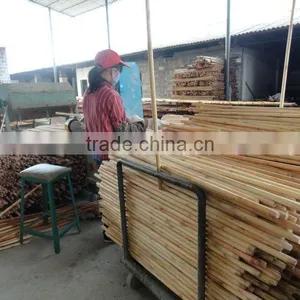 Eucalyptus Wooden Mop Sticks thumbnail-2