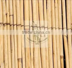 Reed Fence Screens thumbnail-1