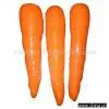 Sell Fresh Carrot thumbnail-1