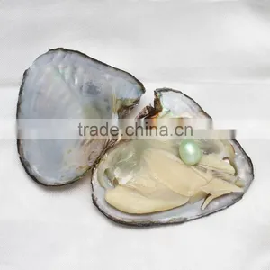 Raw Pearls Freshwater Cultured Love Wish 7.5-8mm Rice Pearl Oyster thumbnail-5