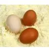 Sell High Gel Egg White Powder thumbnail-1