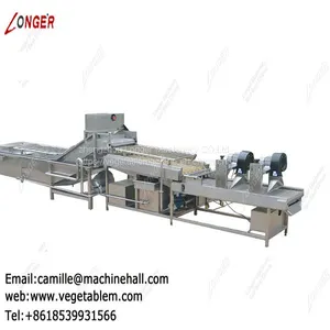 Fruit and Vegetable Washing Machine Manufacture|Tomato Washer|Spinach Cleaning Machine thumbnail-3