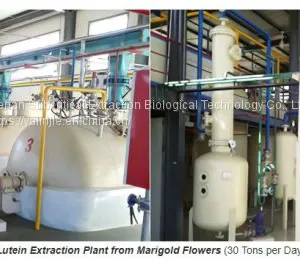 Complete Solvent Extraction Machine Turn-key Project thumbnail-1