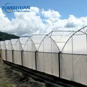 Agriculture Anti Insect Proof Mesh for Tunnel Greenhouse thumbnail-3