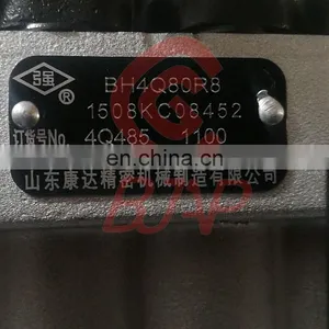 Genuine Injection Pump BH4Q80R8 4Q485 for 4100 4102 Engine thumbnail-2