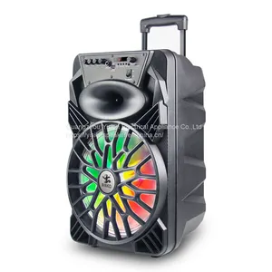 Privated Moulded Portable Trolley Speaker 12'' BK-129 thumbnail-1