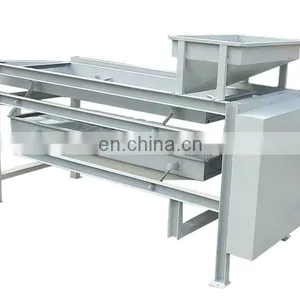 Pecans Walnut Classifier Grader Sorter Huller Sheller Processing Machine Line Machine thumbnail-5