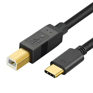 USB BM TO TYPE-C 2.0 thumbnail-1