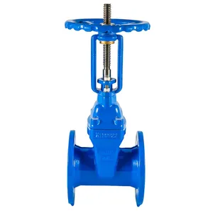 Resilient Seated Gate Valve for Municipal Water Treatment Plants With MTR thumbnail-3