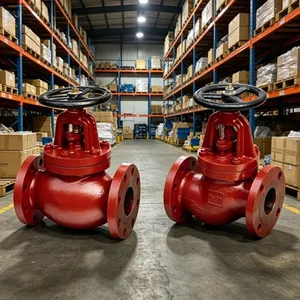 JIS F7305 J Type Flanged Cast Iron Straight Through Globe Stop Valve for Marine thumbnail-1