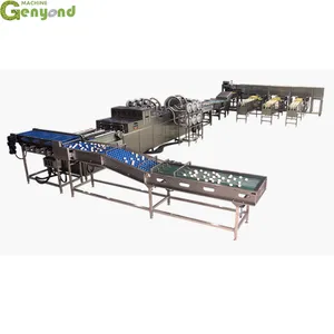 Genyond Egg Washing Grading Packing Equipment Good Price thumbnail-1