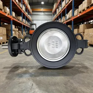 316 Stainless Steel Marine Wafer Duo-Eccentric Butterfly Valve, No Actuator thumbnail-1