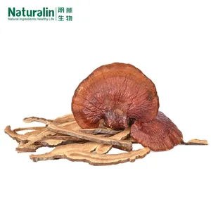Reishi Mushroom Extract thumbnail-3