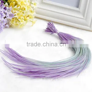 2016 Best Price Rooster Feather High Quality Beautifull Feathers Fashion Colorfull Feather Hair Extension thumbnail-6