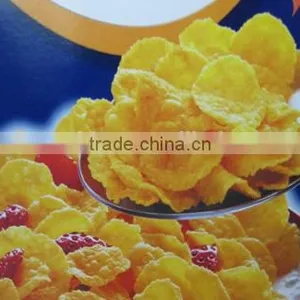 New Machine Crispy Nacho Corn Chips Production Line thumbnail-4