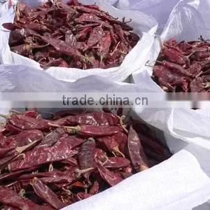 New Crops, Dry Sweet Paprika thumbnail-6