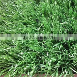 Artificial Grass for Soccer Land thumbnail-1