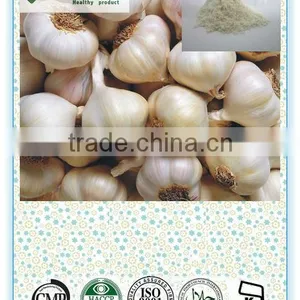 100% Natural Manufacturer Roast Garlic Powder thumbnail-1