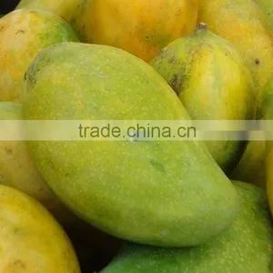 Fresh Dusehri Mango From Pakistan thumbnail-1