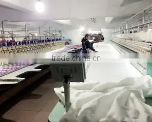 Hangzhou Pinglian Embroidery Co., Ltd. company overview - view 1 thumbnail